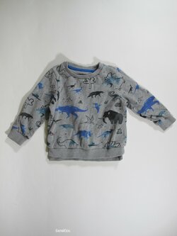 Obrázková mikina pro kluky secondahnd Obrázková mikina pro kluky secondahnd