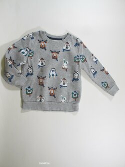 Obrázková mikina pro kluky secondhand Obrázková mikina pro kluky secondhand