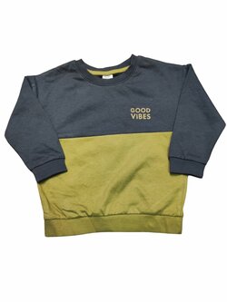 Dvoubarevná mikina s nápisem pro kluky outlet Pepco