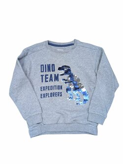 Šedá mikina s obrázkem pro kluky secondhand Nutmeg