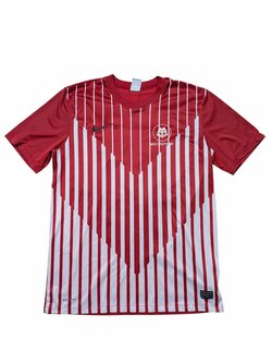 pánský fotbalový dres MTV Stuttgart Georgis 37 pánský fotbalový dres MTV Stuttgart Georgis 37