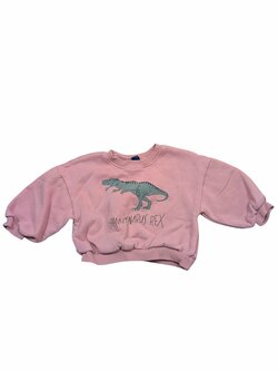 Růžová mikina s dinosaurem pro holky secondhand Jessyca Kids Růžová mikina s dinosaurem pro holky secondhand Jessyca Kids