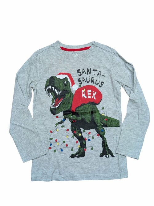 Šedé triko s vánočním Trexem pro kluky secondhand Nutmeg