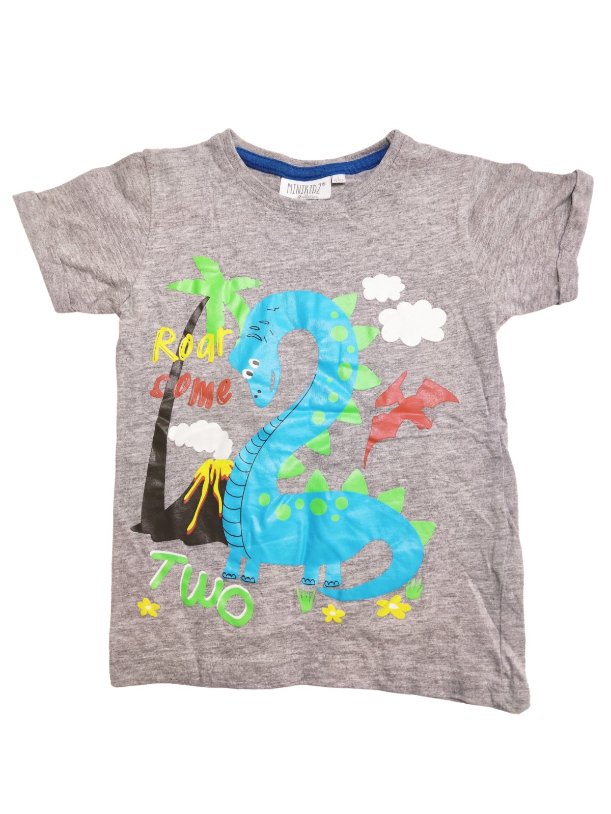Šedé triko s obrázkem pro kluky secondhand minikidz